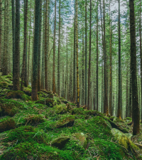 Navigating 2025 CDP Reporting: Updates for Food Companies
