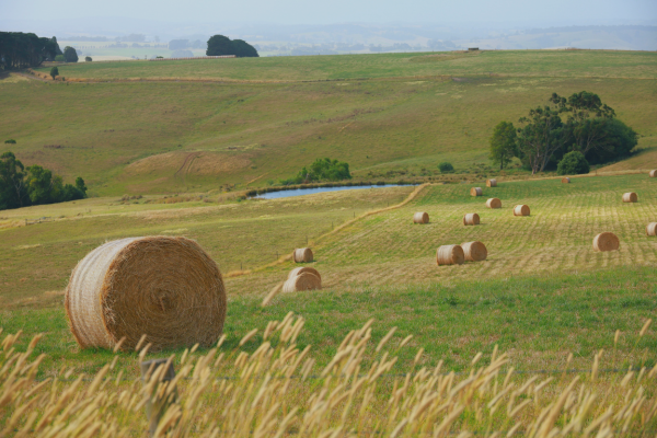 51toCarbonZero and HowGood Partner to Advance Food & Beverage Sustainability