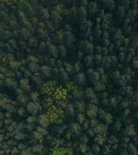 HowGood and Anthesis Partner to Transform Food and Retail Value Chains Through Data-Driven Sustainability