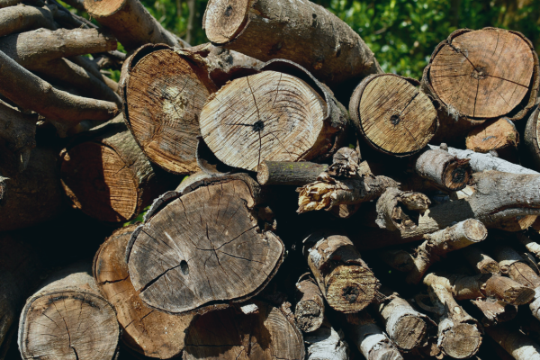 EPR: The Regulatory 'Hot Potato' Driving Sustainable Packaging Design