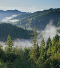  Green Project Technologies and HowGood partner to bring complete sustainability transparency across food and non-food supply chains