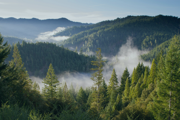  Green Project Technologies and HowGood partner to bring complete sustainability transparency across food and non-food supply chains