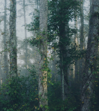 New Sweep – HowGood partnership brings product-level food emissions data directly into enterprise sustainability reporting