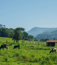 The Land Sector and Removals (LSR) Guidance Just Landed. Here's What It Means for Food and Beverage