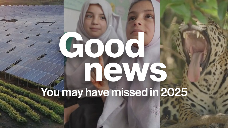Good news you may have missed in 2025