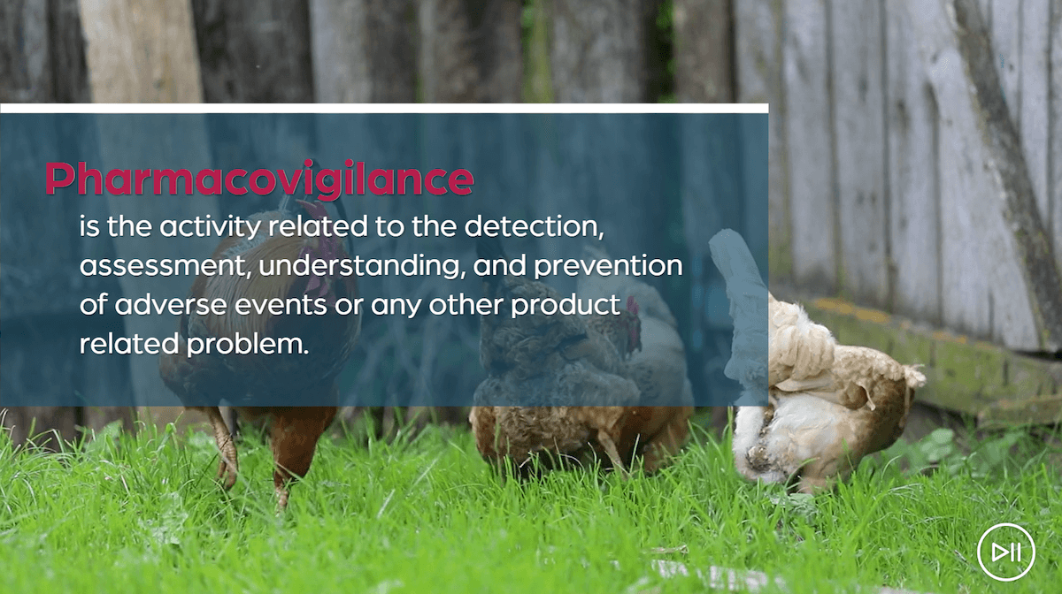 Pharmacovigilance