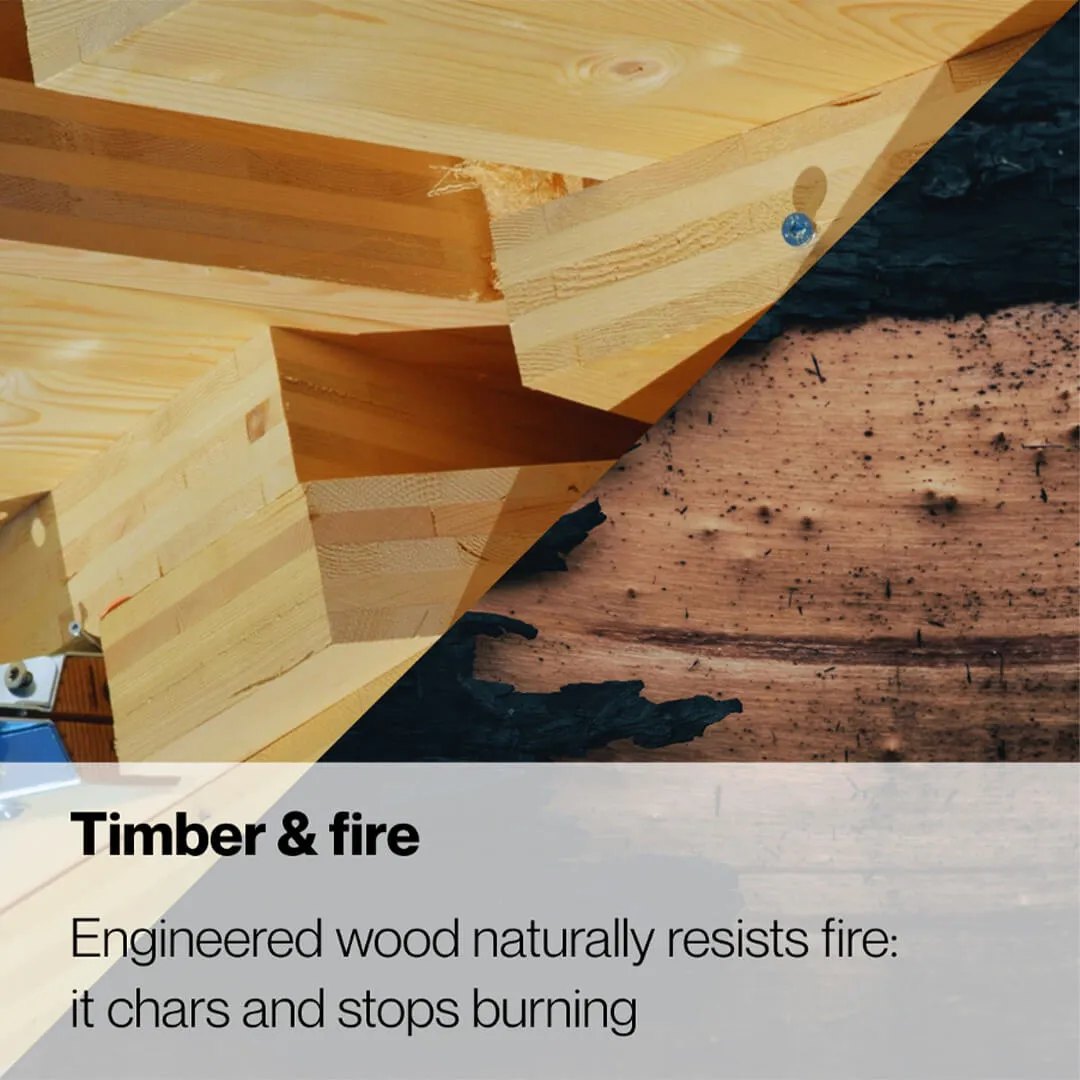 Master Planning Architecture Bahrain, Middle East Architecture Bahrain, Middle East Regenerative Design, Middle East Regenerative Architecture, Green Architecture Bahrain