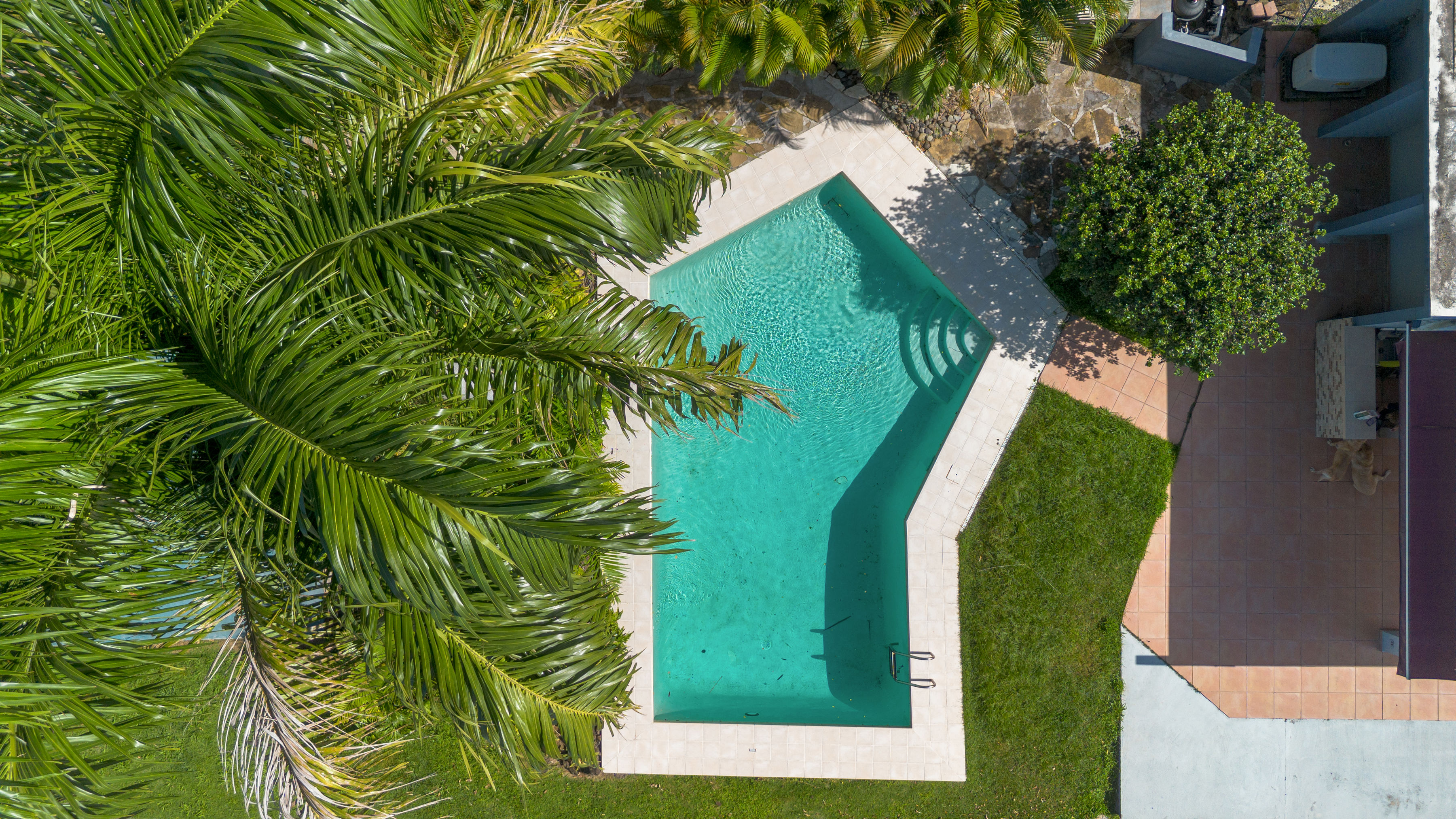 Aerial view of private pool and backyard layout with terrace in San Juan Puerto Rico home