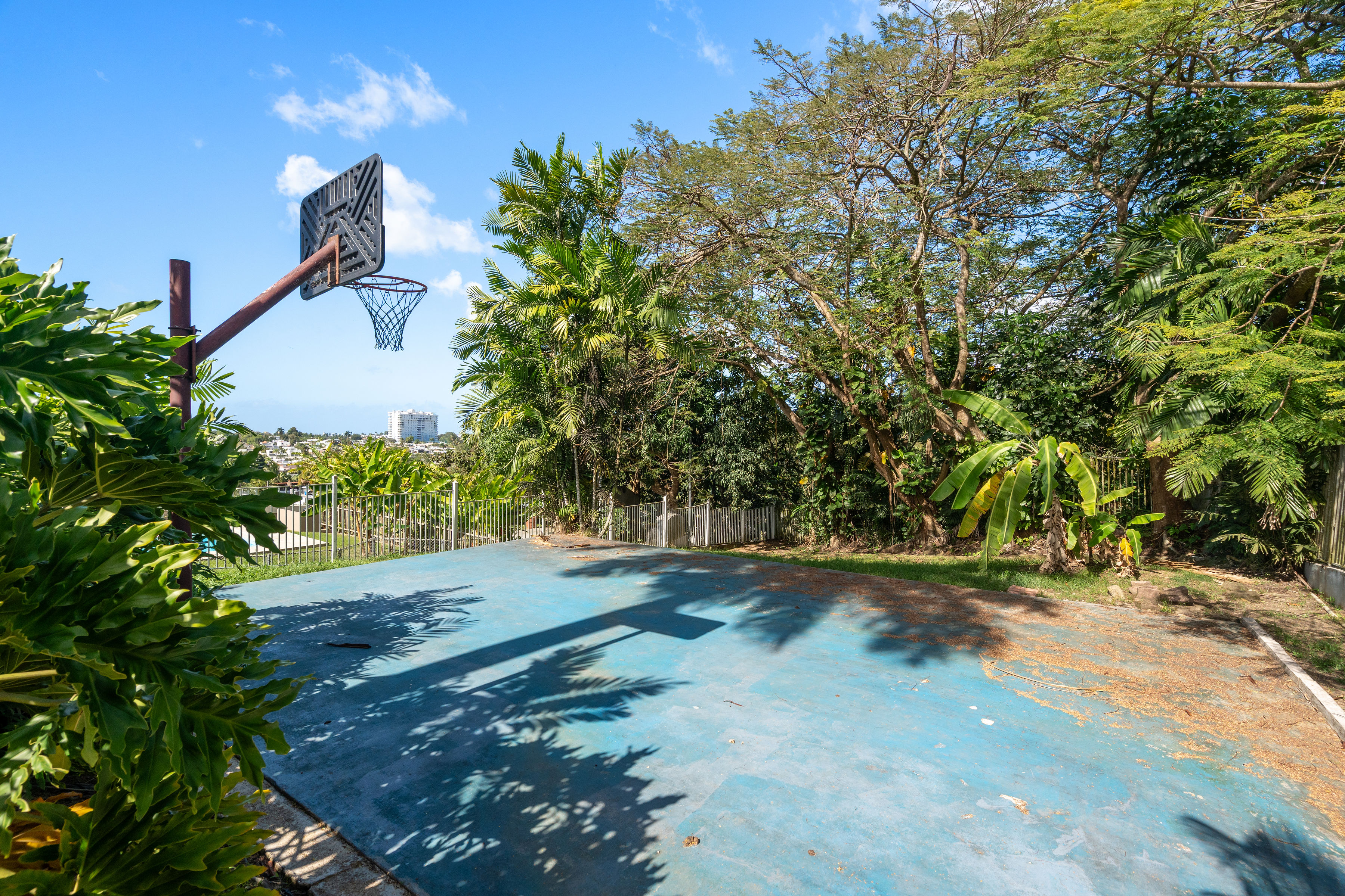 Private half basketball court surrounded by greenery in Mansiones de Villanova property