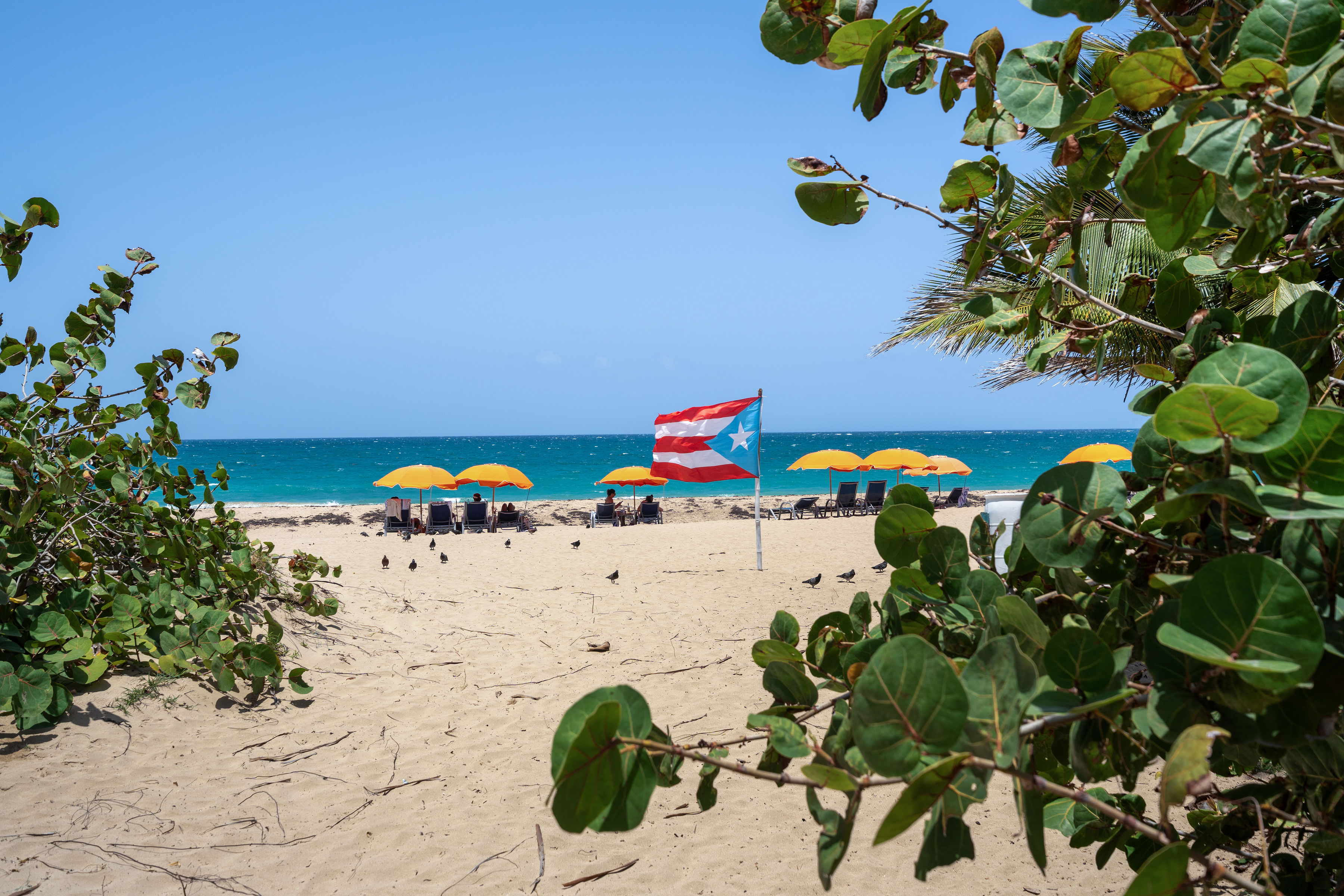 Las Olas Condado condado beachfront and Atlantic Ocean from direct beach access