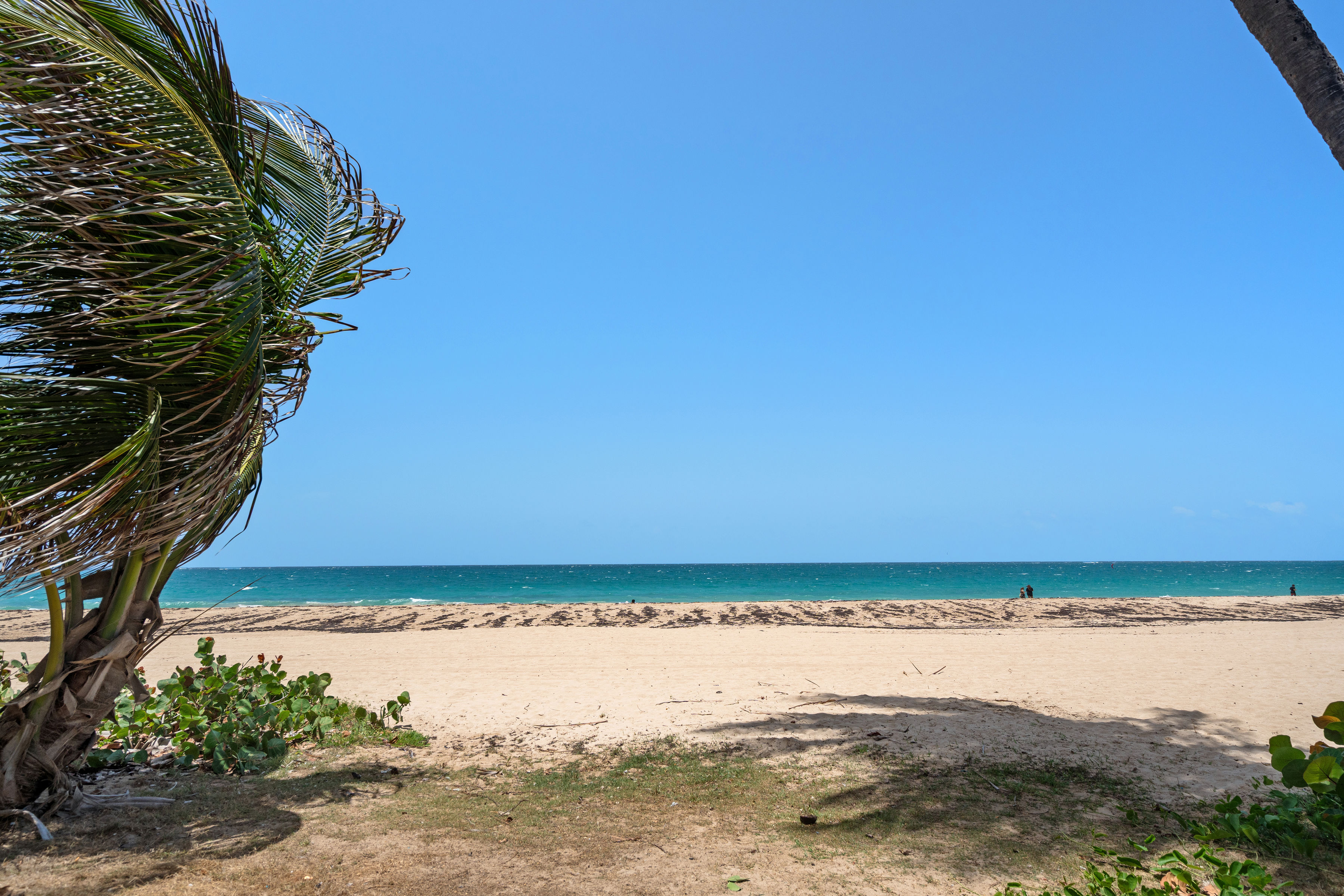 Las Olas Condado direct beach access overlooking the Atlantic Ocean