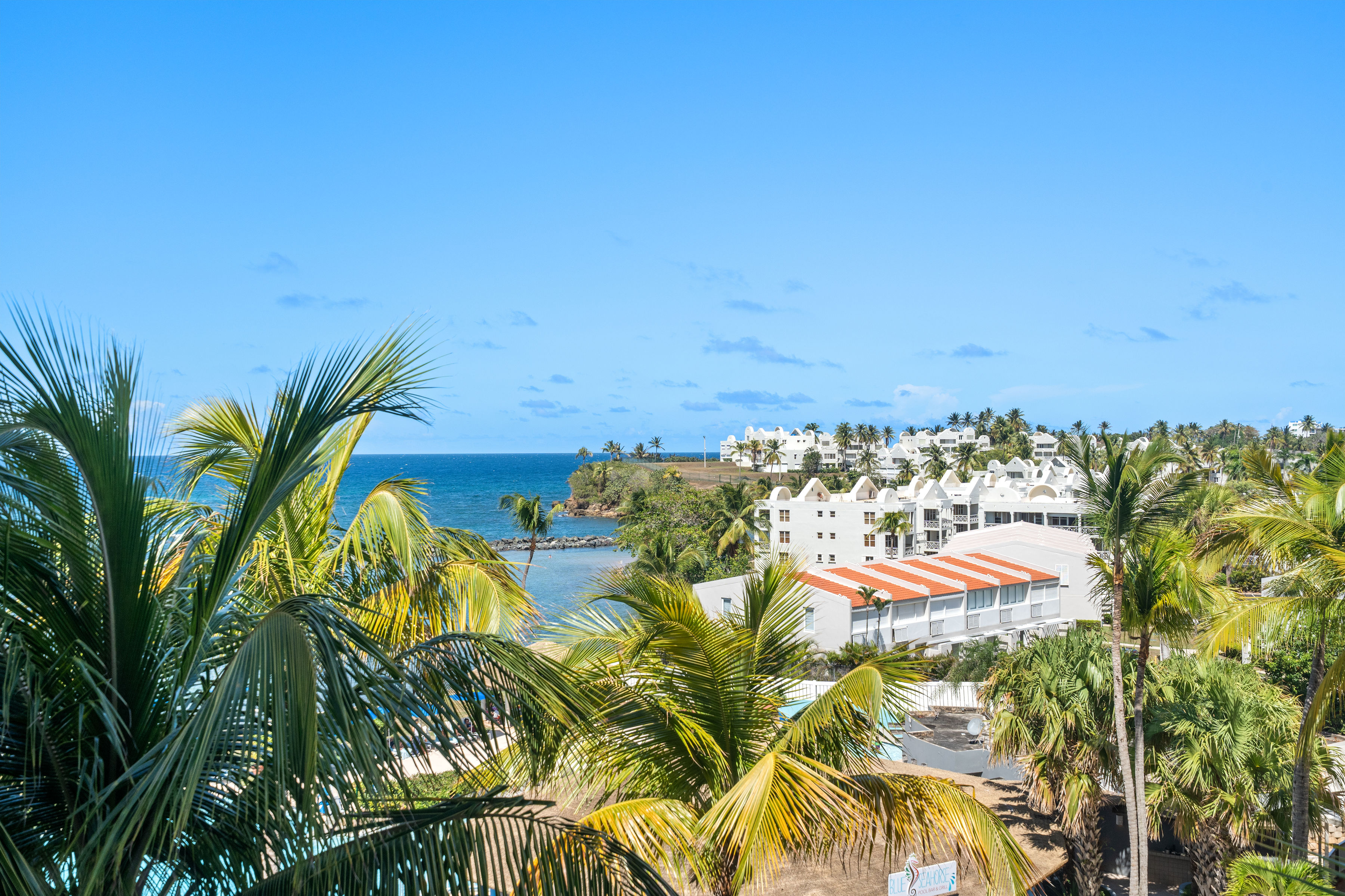 Embassy Villas, Dorado del Mar | Elevated view of palm trees, coastline, and surrounding Dorado del Mar