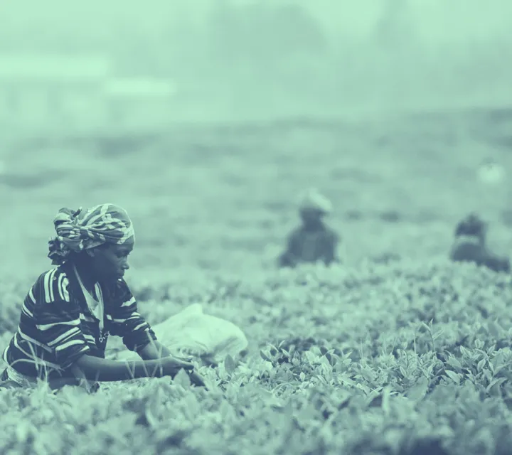 woman working in a field