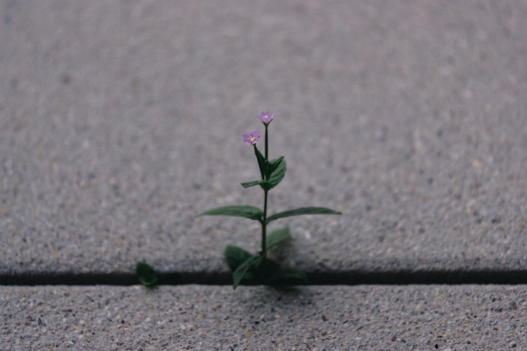 personal growth and development - small group counseling sessions