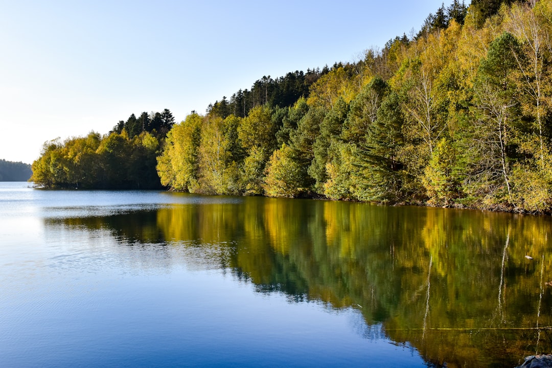 of a calm, natural landscape like a peaceful lake or forest - body mind spirit massage