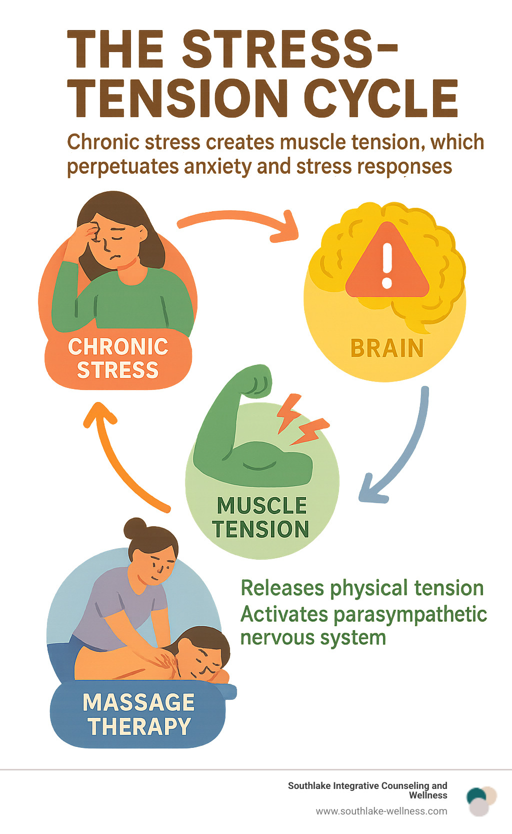 Infographic showing the stress-tension cycle: chronic stress creates muscle tension, which sends danger signals to the brain, perpetuating anxiety and stress responses, while massage therapy interrupts this cycle by releasing physical tension and activating the parasympathetic nervous system for healing - mind body wellness and massage therapy infographic 