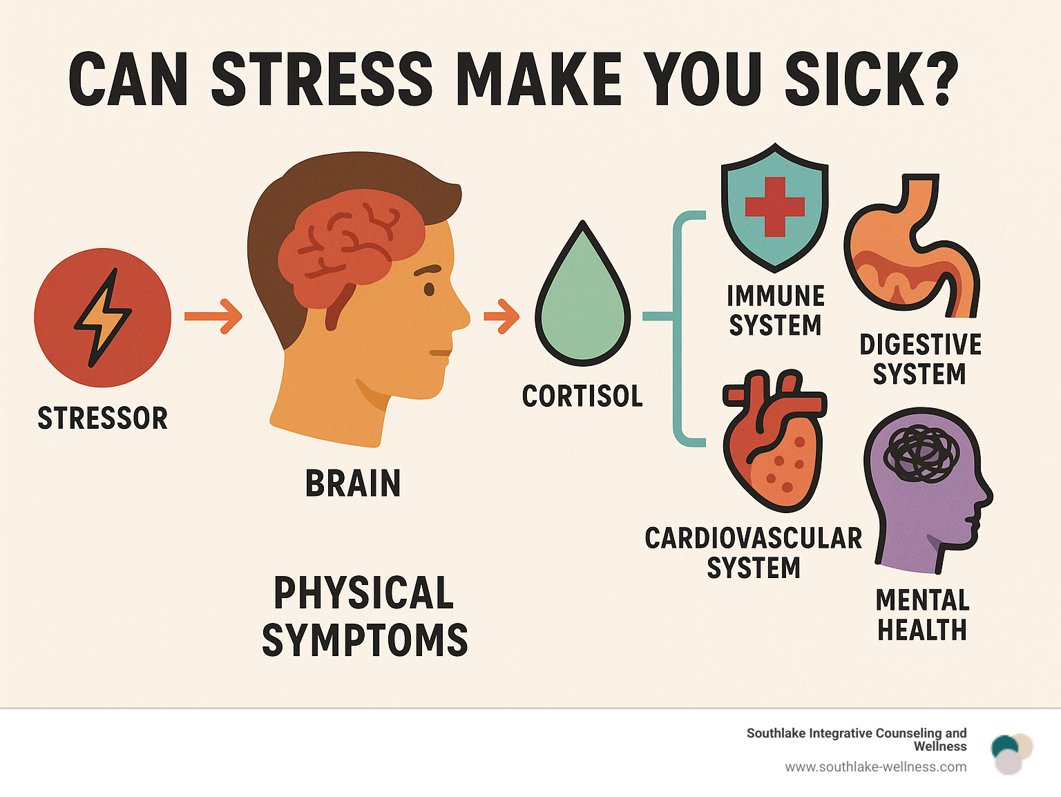 Infographic showing the stress response pathway from initial stressor through brain activation, hormone release, and resulting physical symptoms affecting immune system, digestive system, cardiovascular system, and mental health - can stress make you sick infographic 