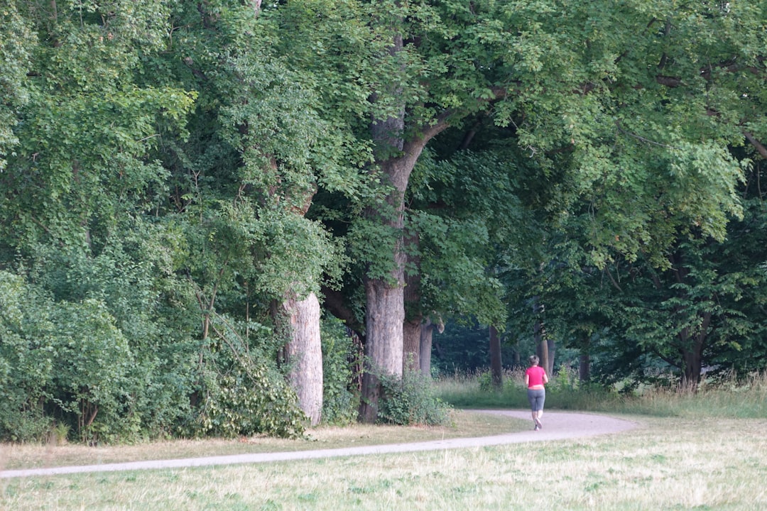 person walking mindfully in a park with trees - does mindfulness based therapy help for self care