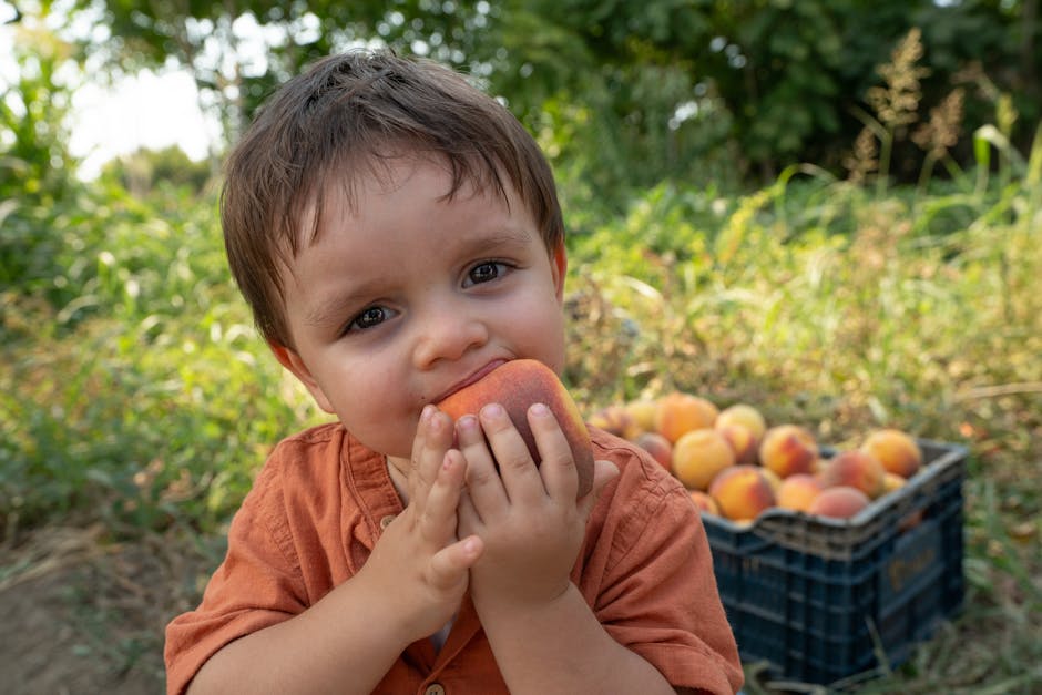 healthy child eating fruit - Diet for focus