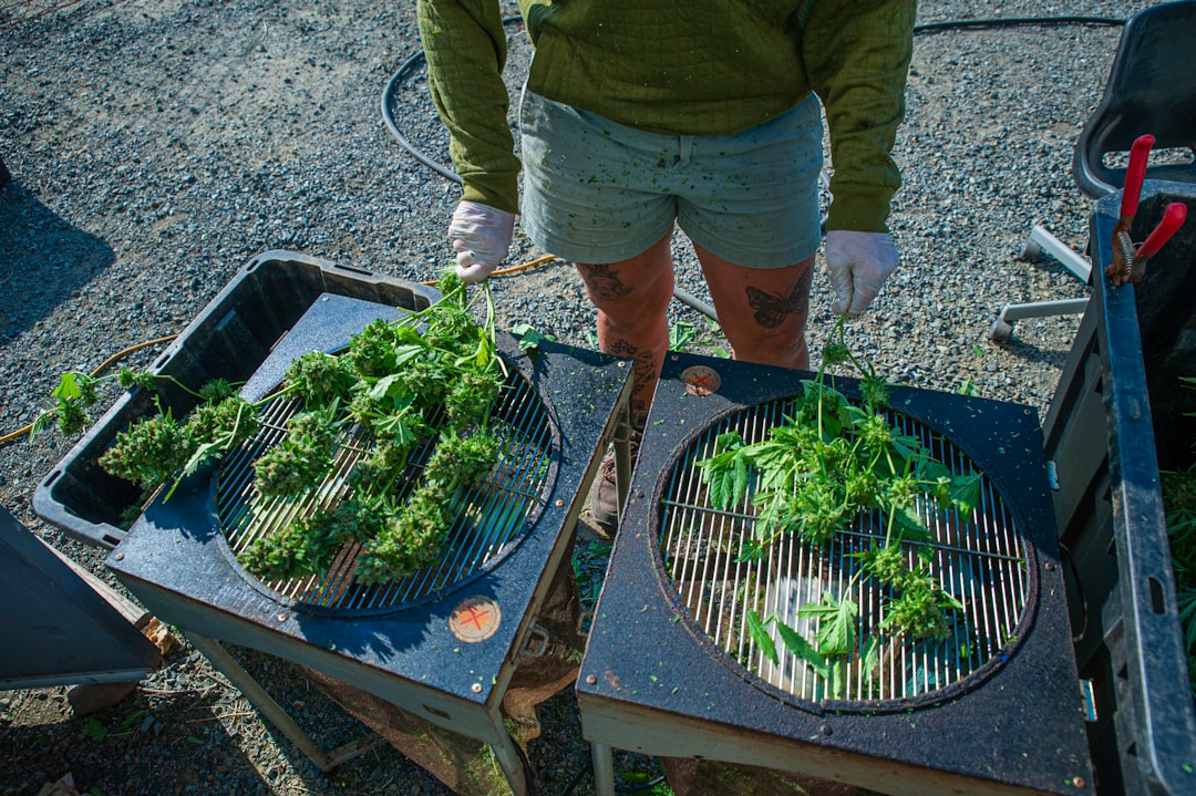 person preparing healthy meal or exercising outdoors - how to manage stress