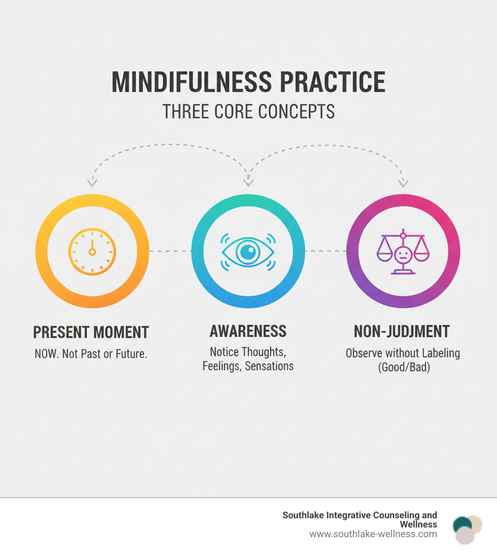Infographic showing the three core concepts of mindfulness practice: Present Moment (focusing on what's happening now, not past or future), Awareness (noticing thoughts, feelings, and sensations as they arise), and Non-Judgment (observing without labeling experiences as good or bad) - how to practice mindfulness infographic 