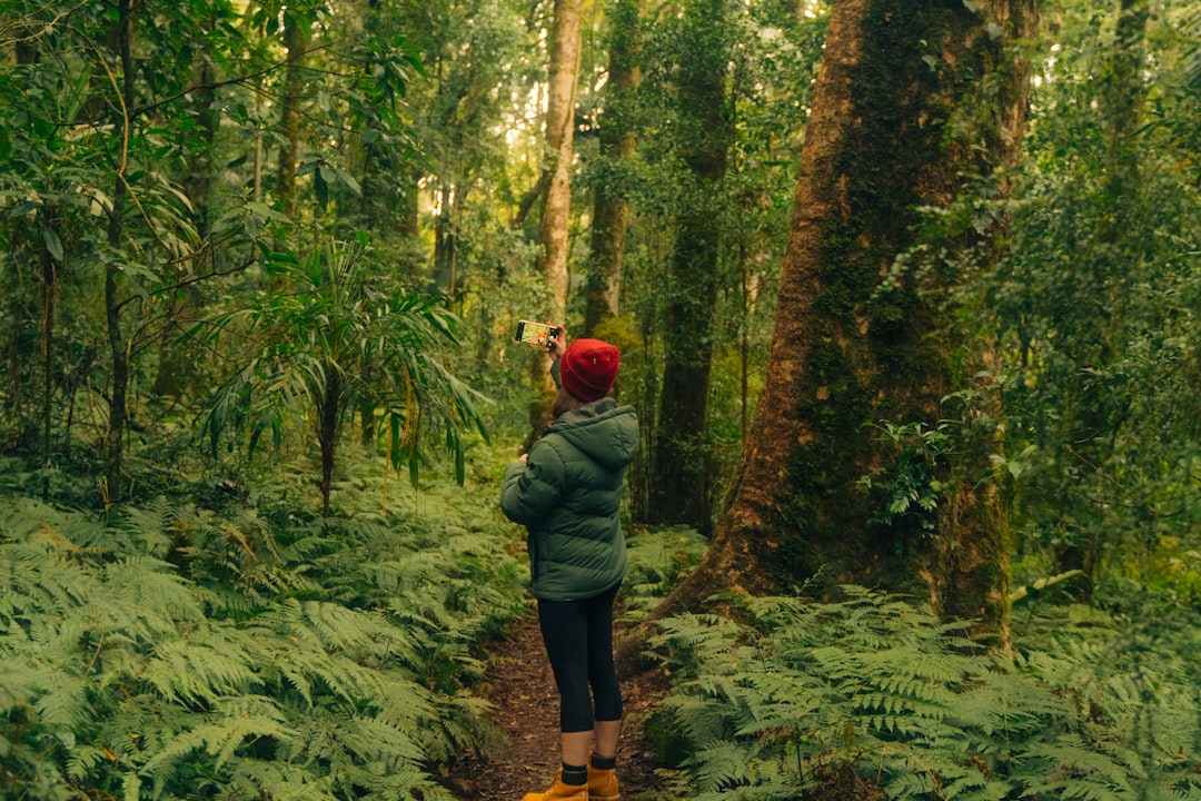 person enjoying a walk in a lush green forest - holistic healing for depression