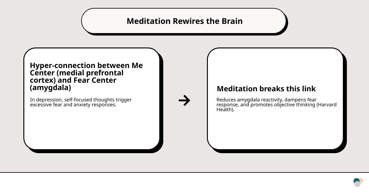 Table comparing the Fear Center (Amygdala) vs. the Me Center (Medial Prefrontal Cortex) - meditation and wellness