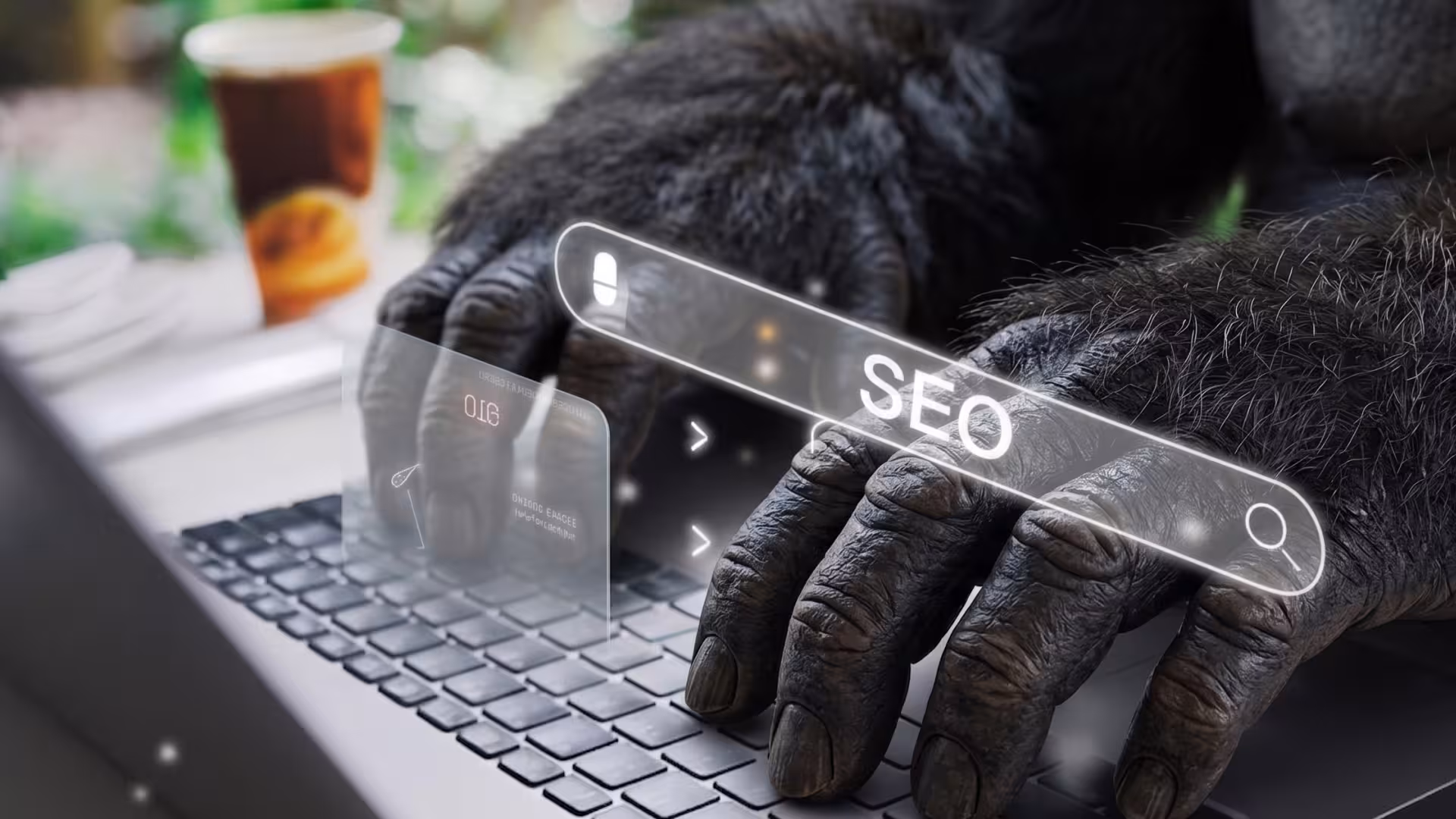 Search Engine Optimisation: What is Web SEO?