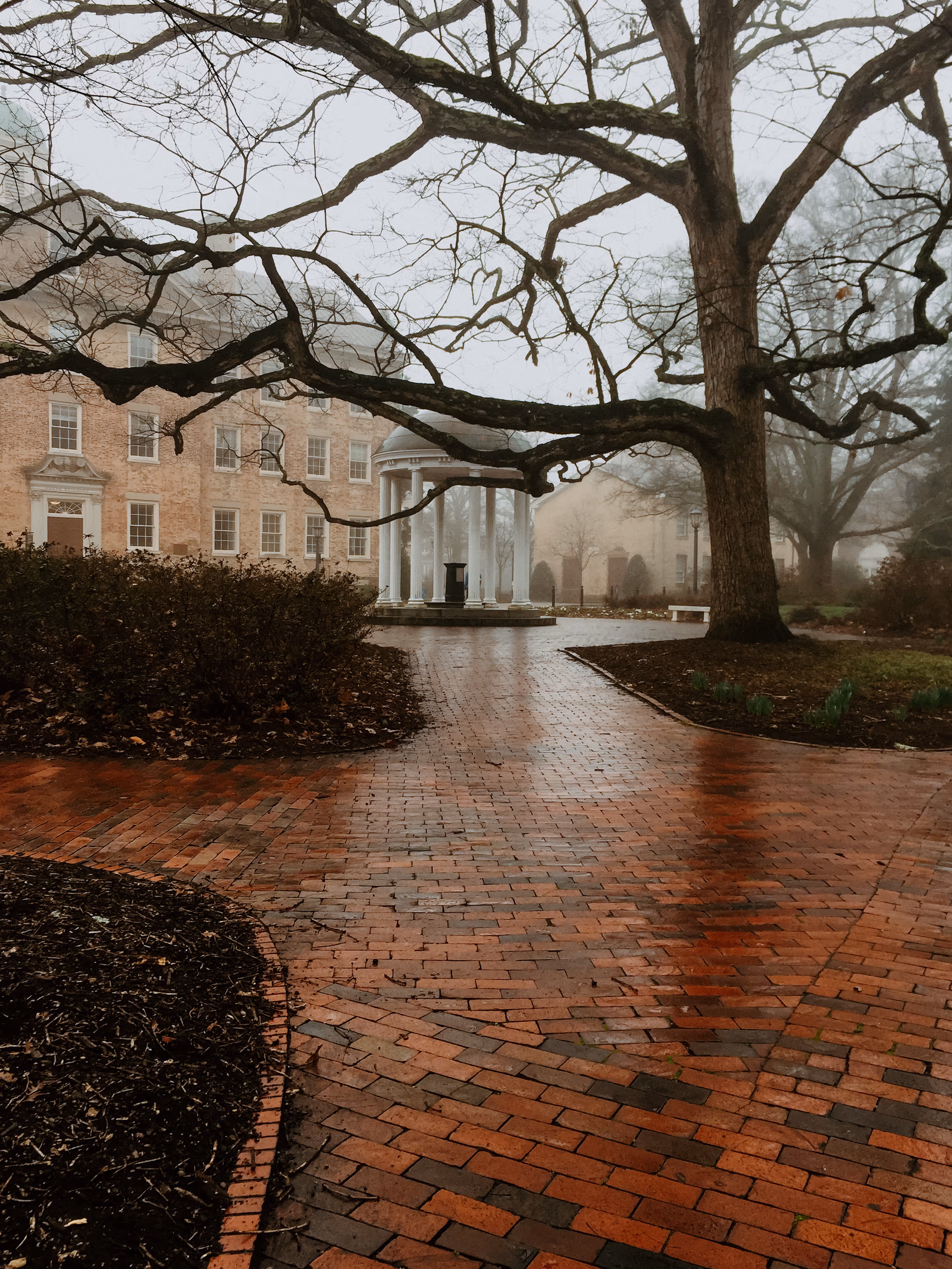 Wet brick pathway leading to a white gazebo amidst leafless trees and historic buildings in foggy weather.