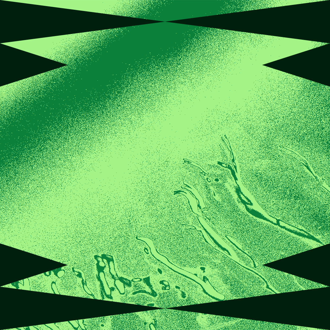 Dysfest social media design