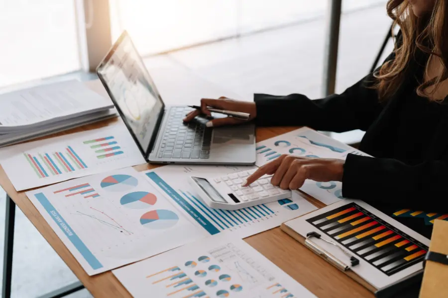 Auditor reviewing statutory financial statements