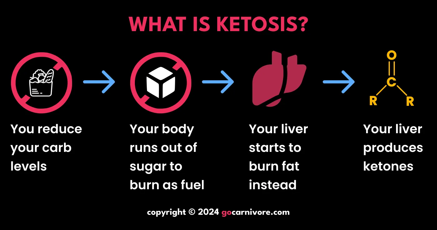 Carnivore Diet Results: What Is Ketosis