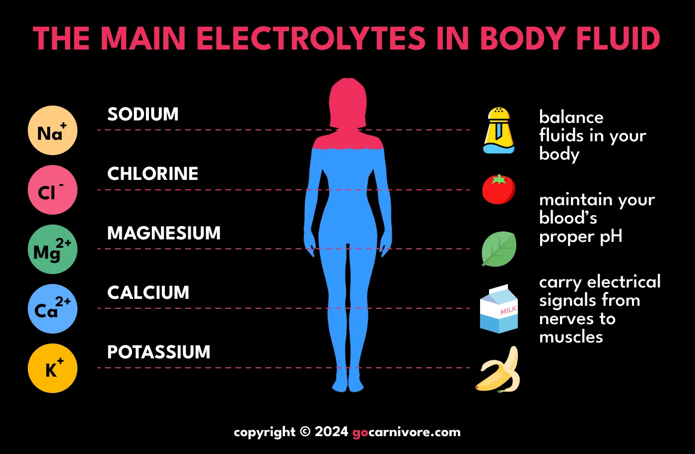 Carnivore Diet Results - Electrolytes