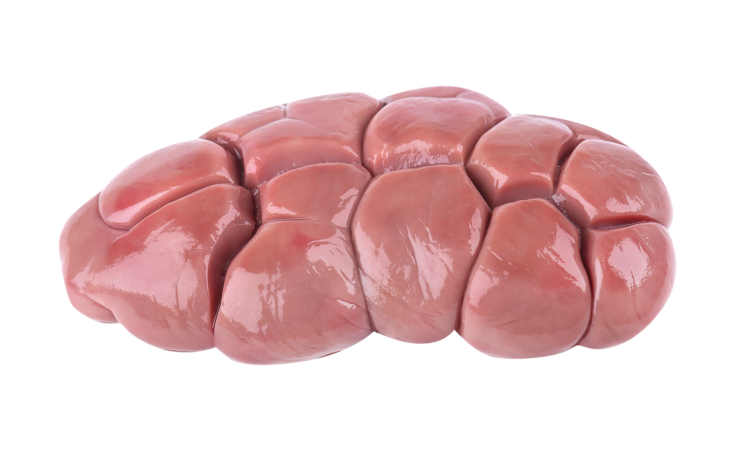 Beef Kidney on a Carnivore Diet