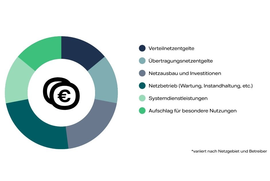 Tortendiagramm Netzentgelte