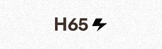 Modellkürzel H65 des Rebel