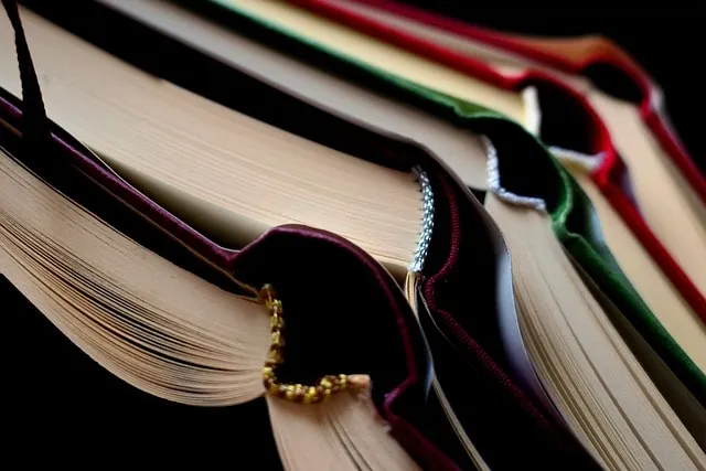 a book, read, literature