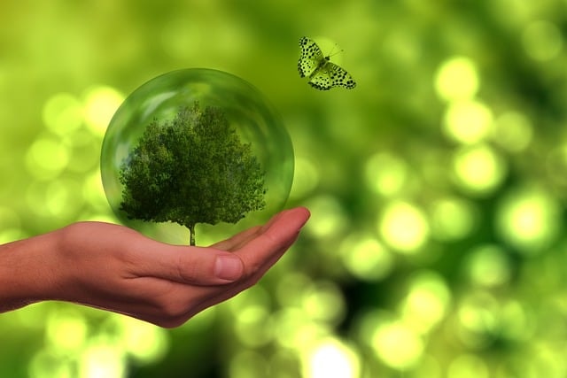 tree, butterfly, globe, energy, sustainability, renewable, earth, world, humanity, population, eco, environment, ecology, forward, electricity production, nature, sustainability, sustainability, sustainability, sustainability, sustainability, eco