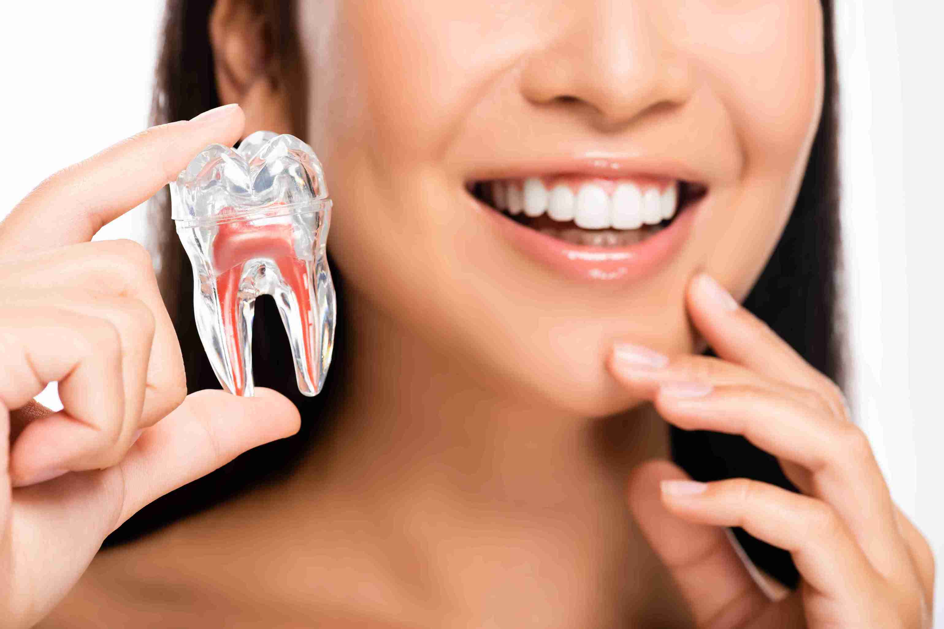 A woman smiling and holding a plastic figure of a tooth