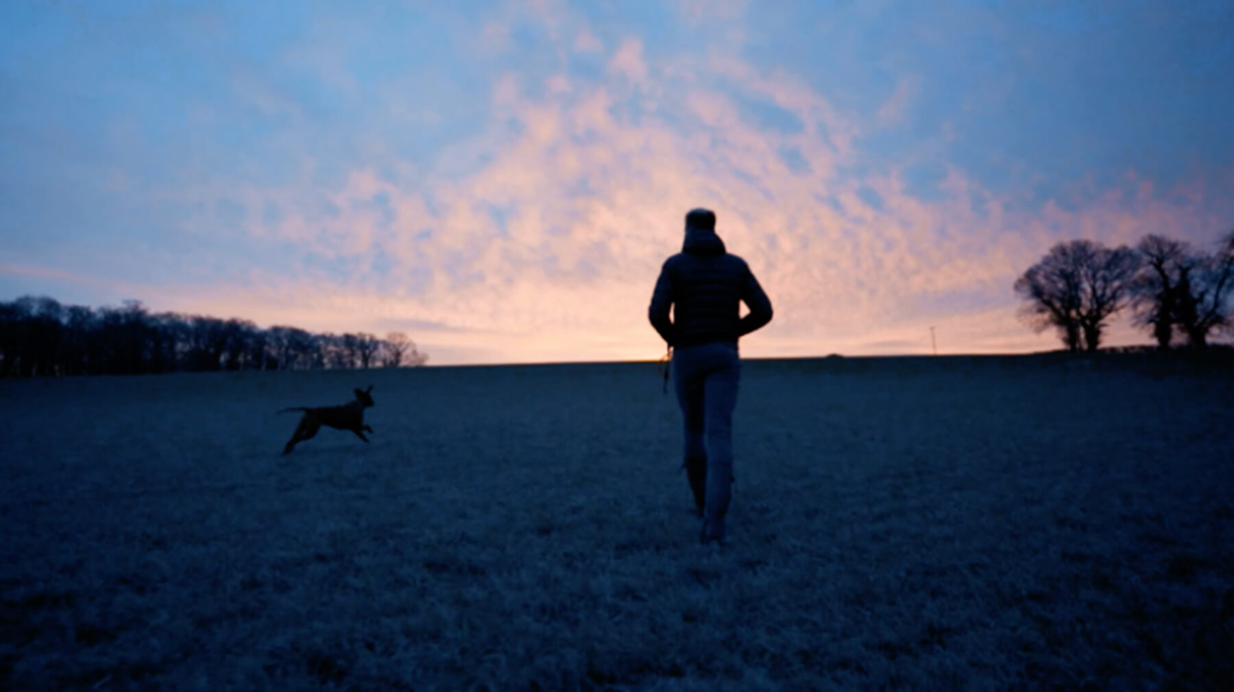 Person walking in a field at dusk with a dog running nearby under a colorful sky.