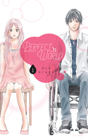 Perfect World