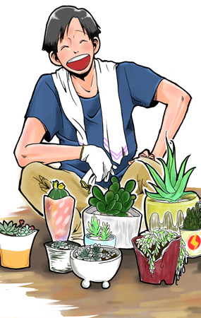 The Little Succulents