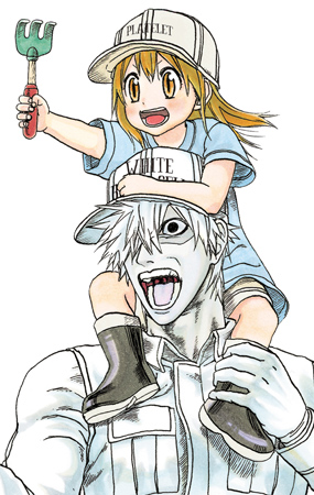 Cells at Work!