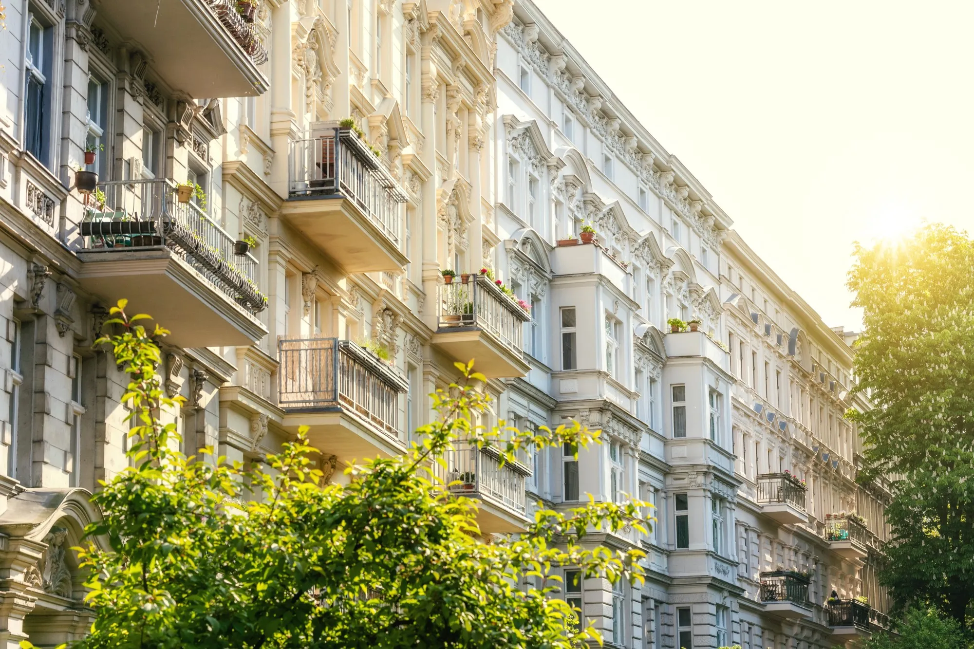 Renovierte Altbau Häuserwand mit grünen Bäumen davor - Michael Dschaak Immobilien Castrop-Rauxel
