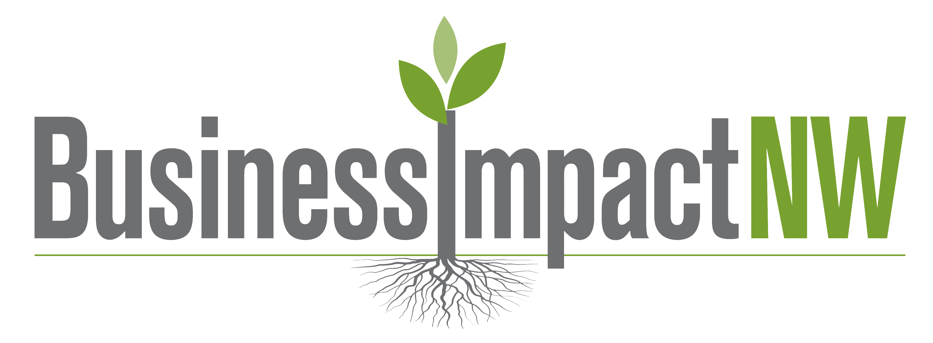 Business Impact NW