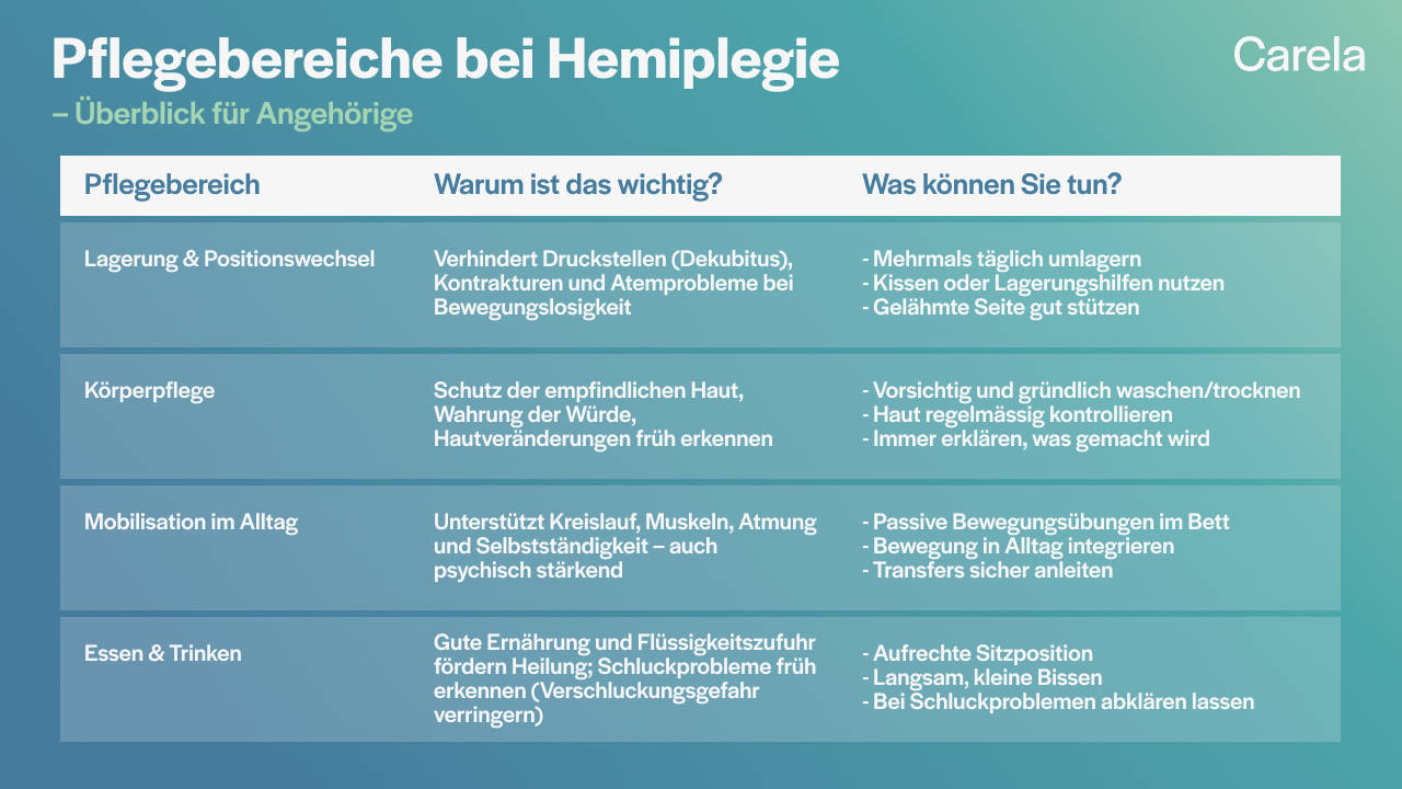 grafische Darstellung der Pflegebereiche bei Hemiplegie für pflegende Angehörige