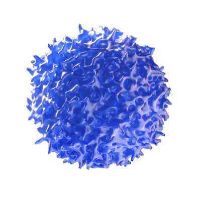 Blue small t-cell