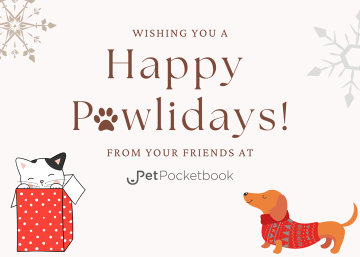 Holiday Card Template
