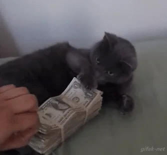 cat protecting stack of money