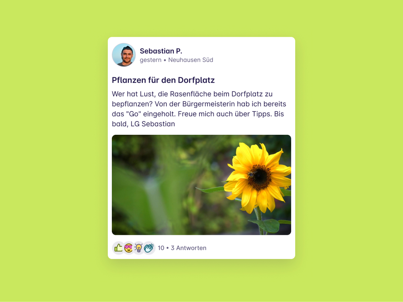 Screenshot von einem Post "Pflanzen für den Dorfplatz" von Sebastian P. aus Neuhausen Süd